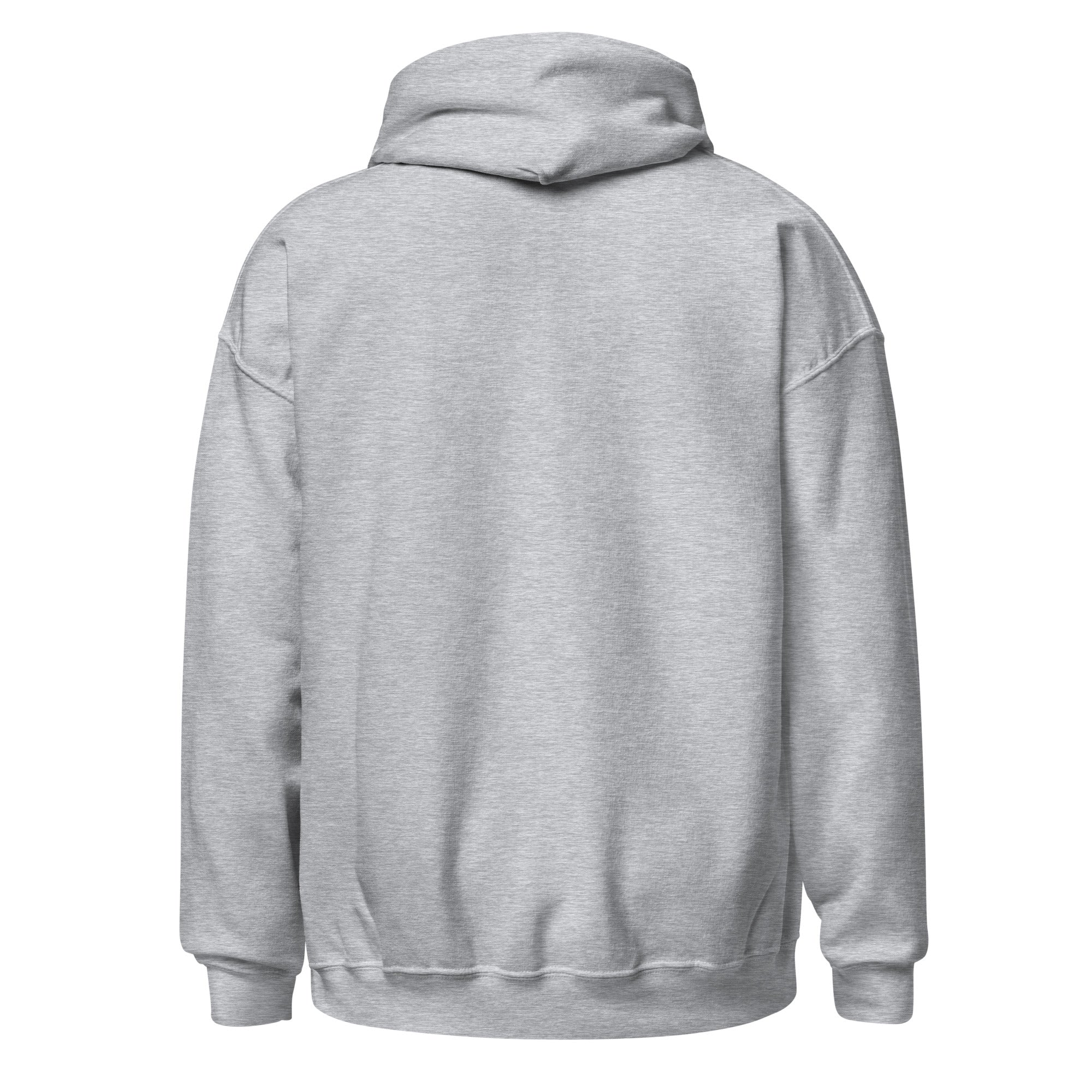 Grey hoodie online hm